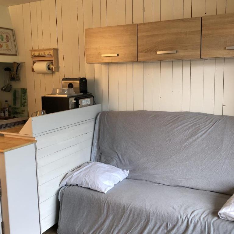 Family studio near the slopes of Praz-sur-Arly - Studio - 3