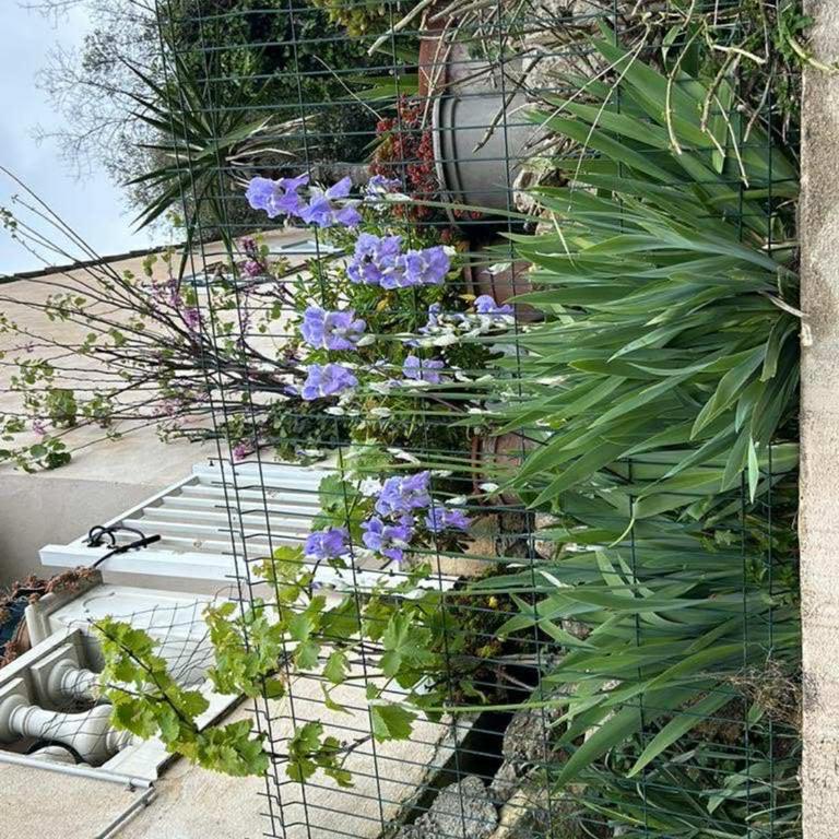 Family Villa SMB - Villa - Vue sur Jardin - 32