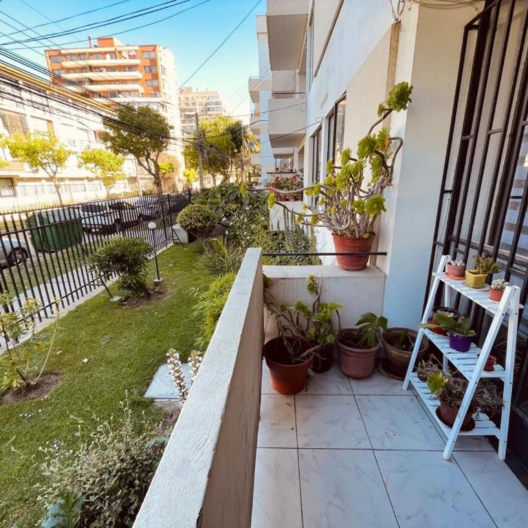 Departamento en viña del mar - One-Bedroom Apartment - 10