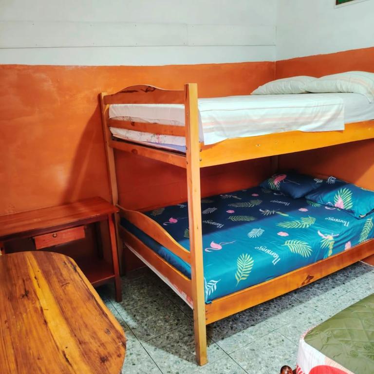 Hostal Camping Beach - Standard Family Room - 1