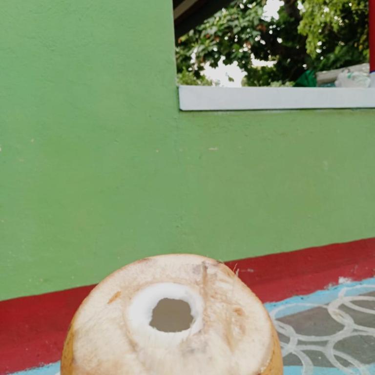 Apto Bread fruit #2 - Apartamento de 1 dormitorio - 6