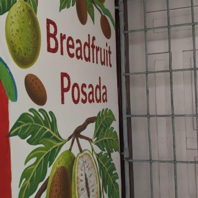 Apto Bread fruit #2 - Apartamento de 1 dormitorio - 7