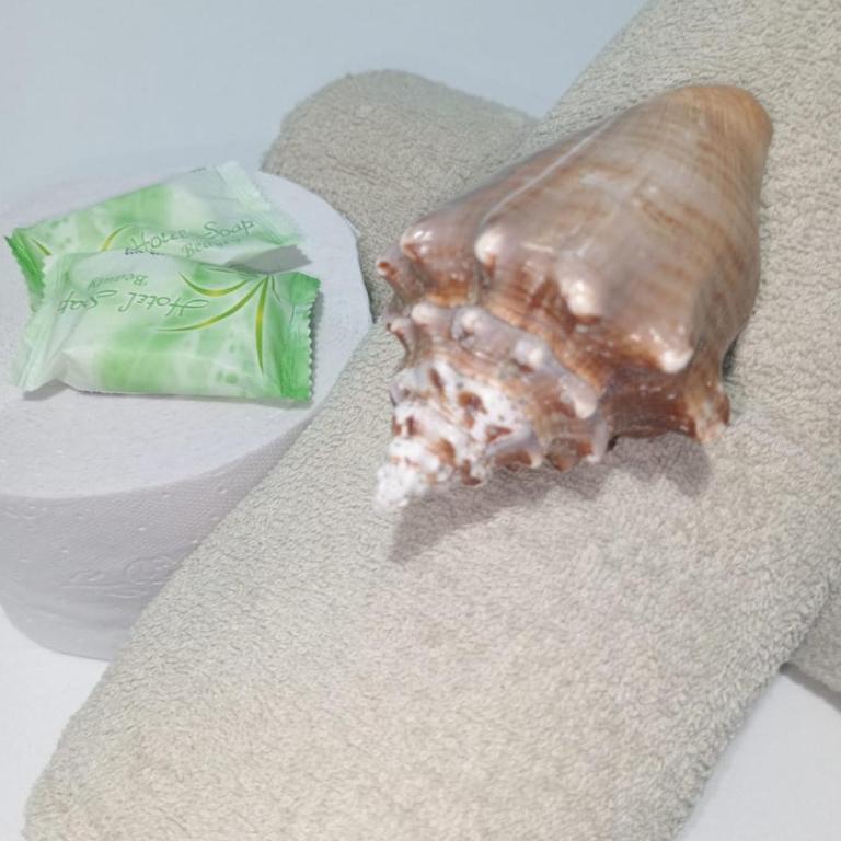 Apto Bread fruit #2 - Apartamento de 1 dormitorio - 15