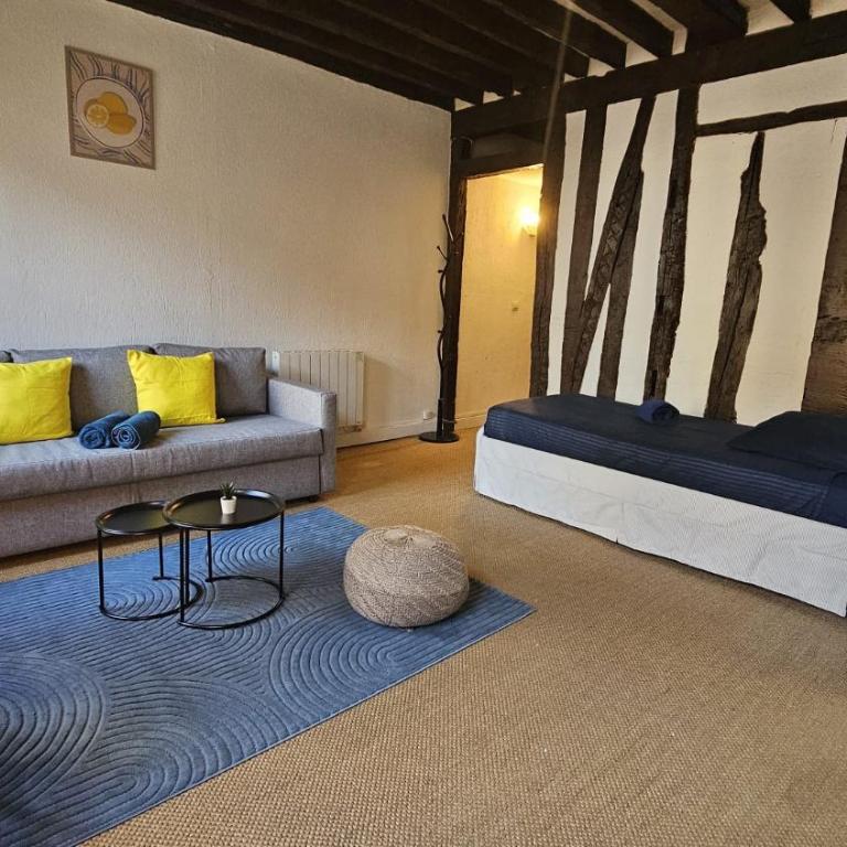 CHARMANT STUDIO EN PLEIN COEUR De PARIS QUARTIER MONTORGUEIL- JARDIN DU PALAIS ROYAL-MUSEE DU LOUVRE - One-Bedroom Apartment - 9