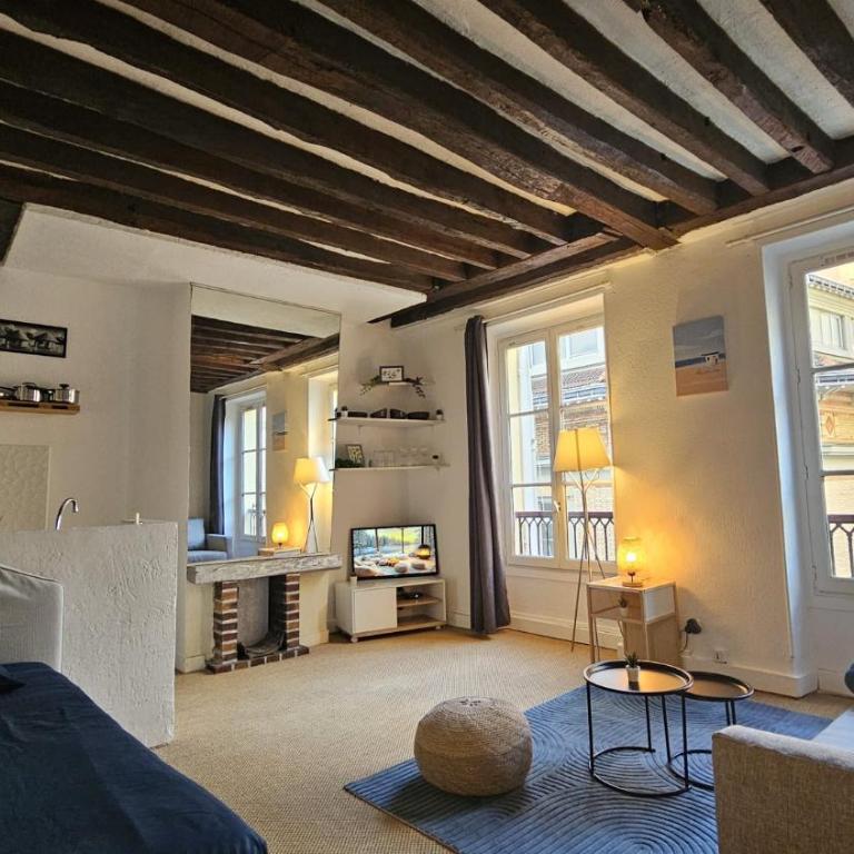 CHARMANT STUDIO EN PLEIN COEUR De PARIS QUARTIER MONTORGUEIL- JARDIN DU PALAIS ROYAL-MUSEE DU LOUVRE - One-Bedroom Apartment - 16