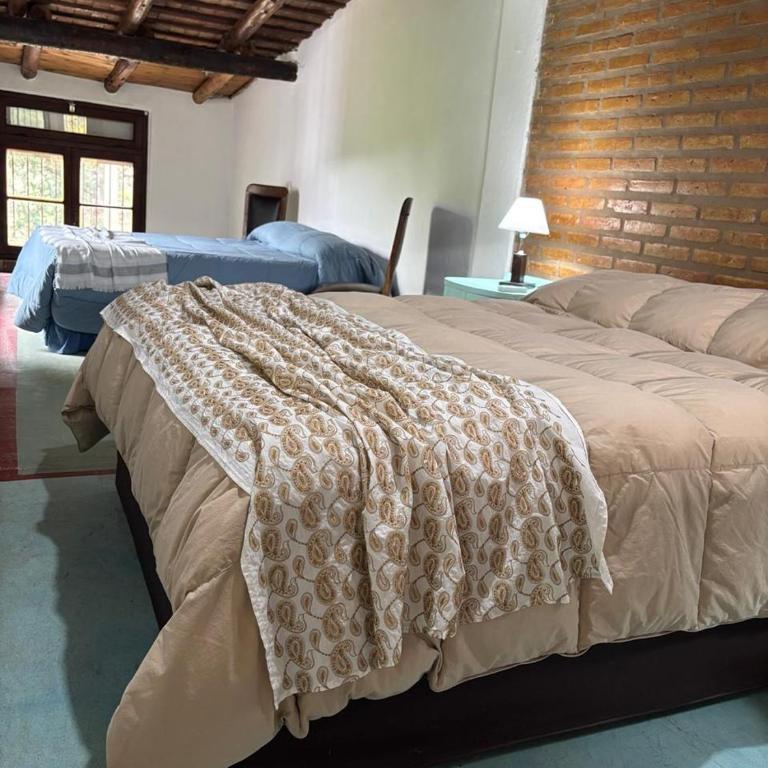 Villa Pellegrini - One-Bedroom House - 57