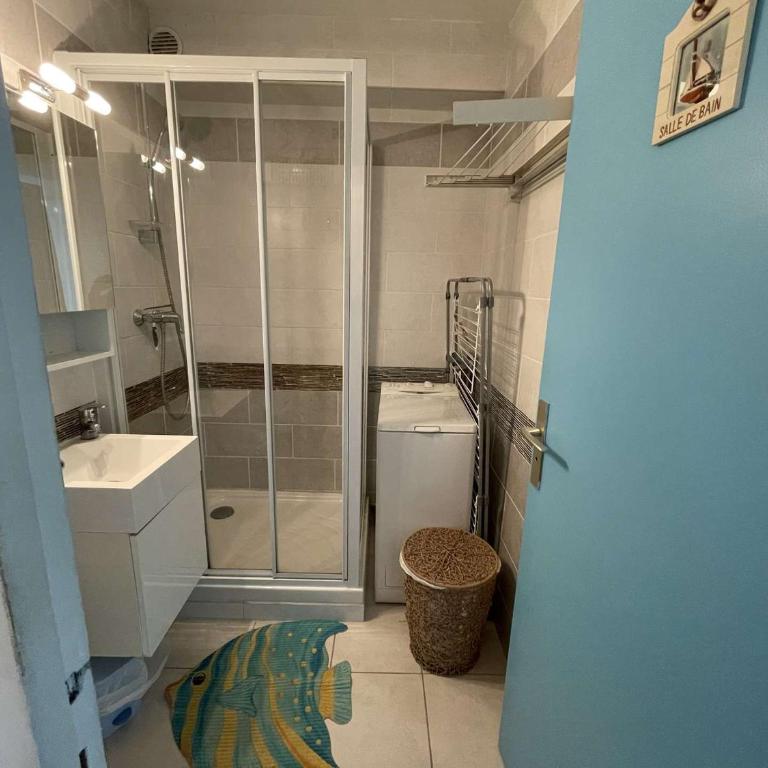 Studio cabine climatisé avec piscine, proche plage - FR-1-250-46 - Apartment - 19