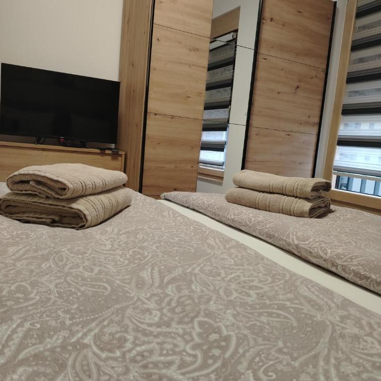 Apartman Amber Vrnjačka Banja - One-Bedroom Apartment - 36