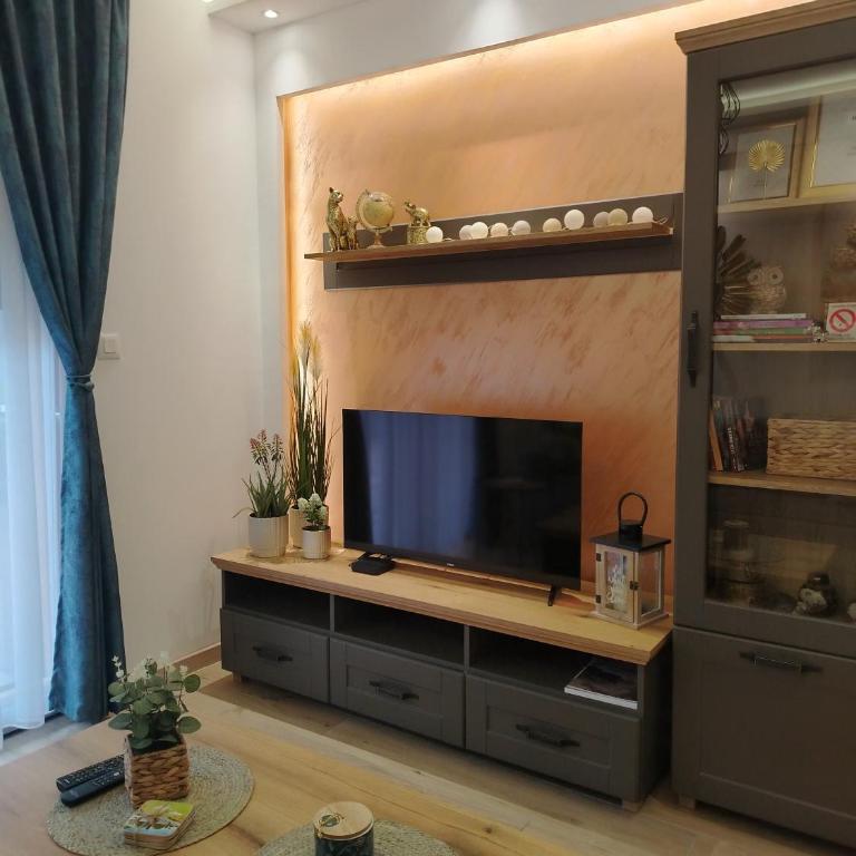 Apartman Amber Vrnjačka Banja - One-Bedroom Apartment - 35
