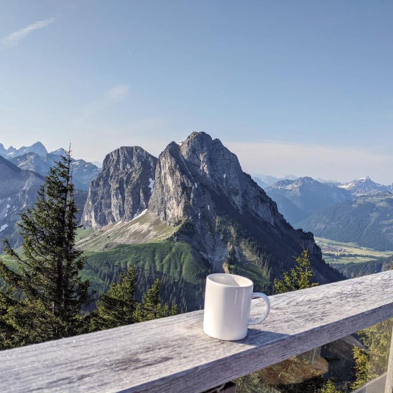 Ferienwohnung AlpenAuszeit im Allgäu - Apartment mit 1 Schlafzimmer - 22