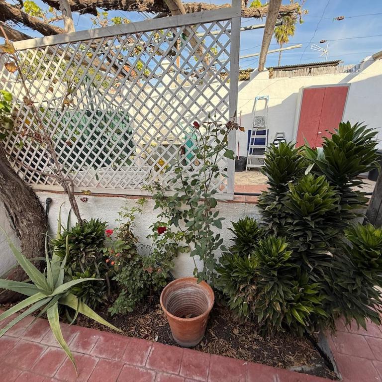 Casa Luise - 3 Bedroom Home - Casa de 2 dormitorios - 27