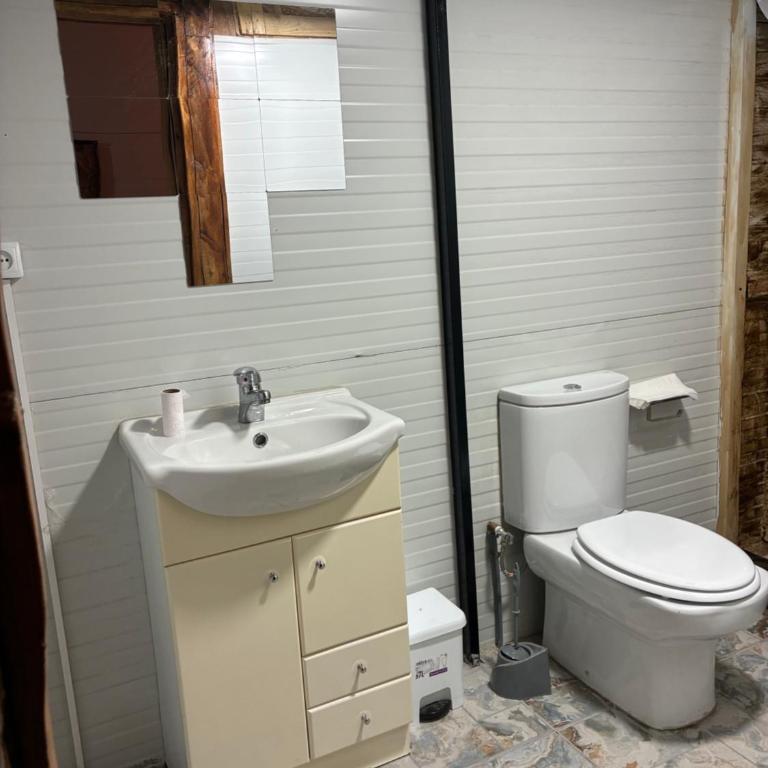 Cabaña rural con piscina privada - Apartamento de 1 dormitorio - 13