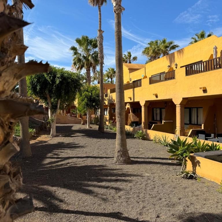OASIS DUNAS Eguzkilore Sun & Pool by B-Rent - Apartamento de 1 dormitorio - 12