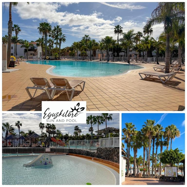 OASIS DUNAS Eguzkilore Sun & Pool by B-Rent - Apartamento de 1 dormitorio - 40