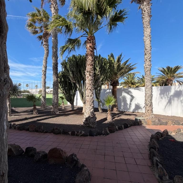 OASIS DUNAS Eguzkilore Sun & Pool by B-Rent - Apartamento de 1 dormitorio - 47