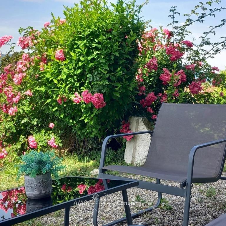 Splendide Vue sur le Lac ! 5mn des plages, parking privé - Appartement 2 Chambres - 7