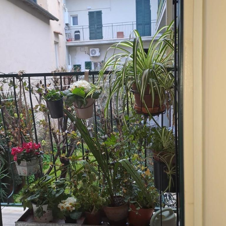 Stasera da me - Appartamento con 1 Camera da Letto - 14