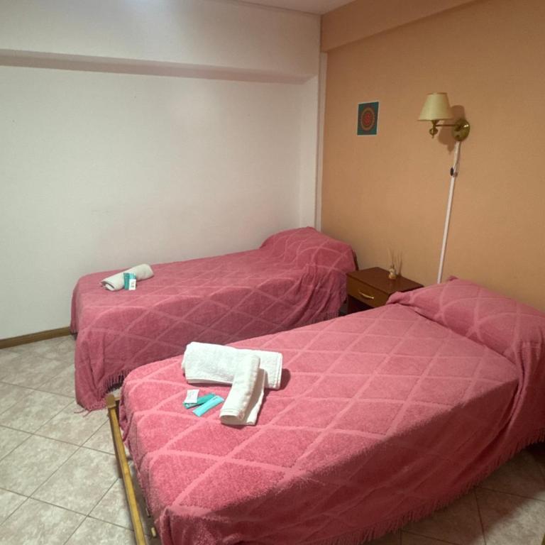 Hosteria Ailen - Double Room - 2