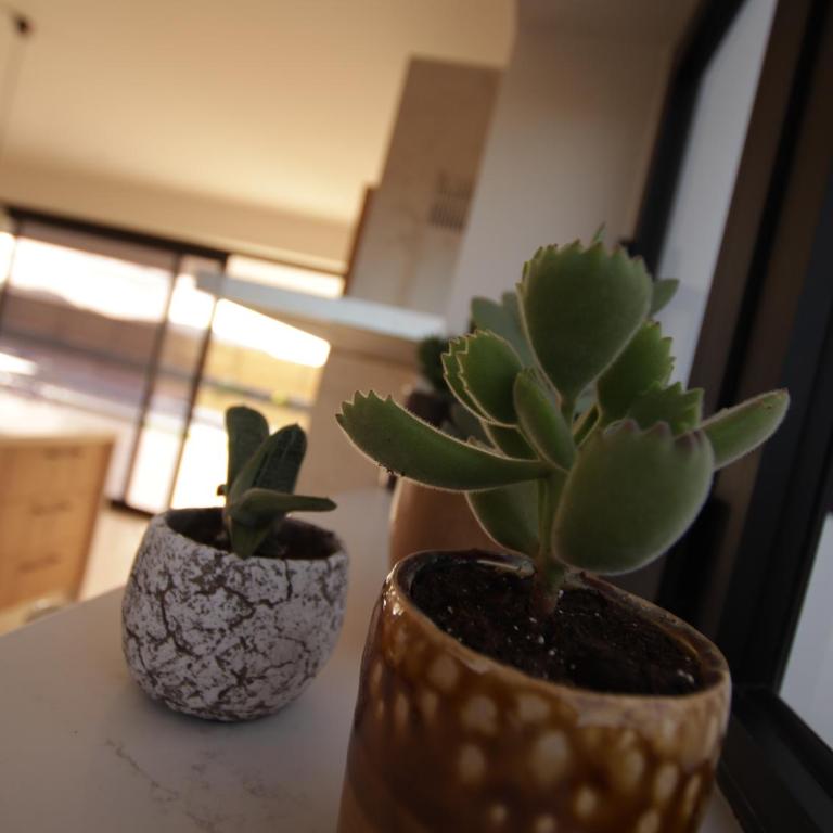 Elements Lajares - Three-Bedroom House - 9