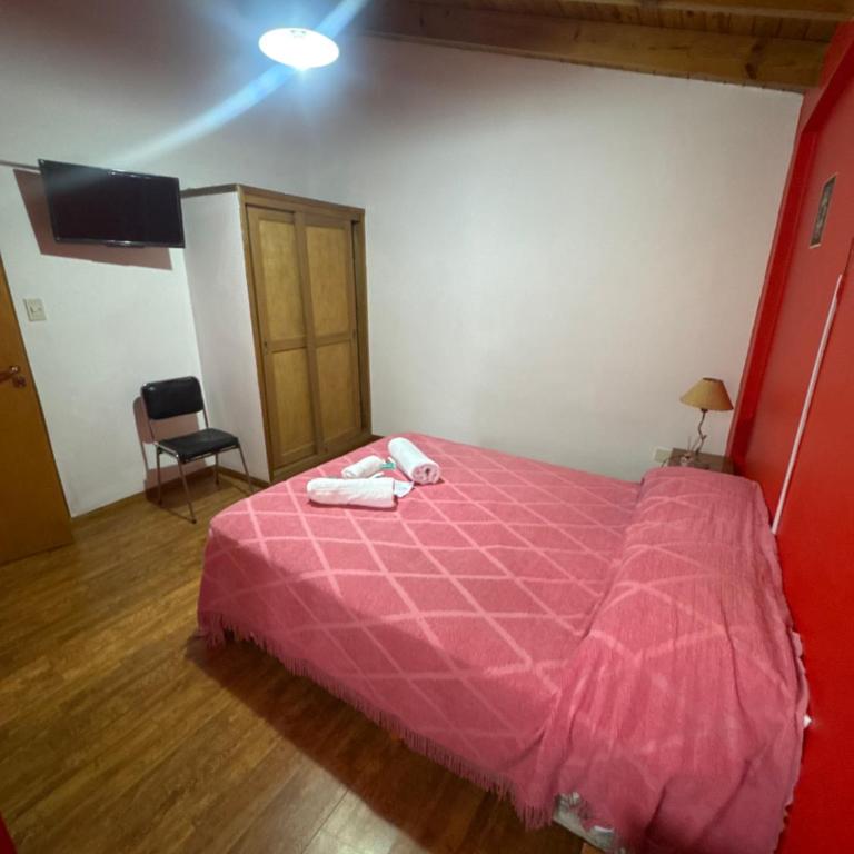 Hosteria Ailen - Double Room - 3