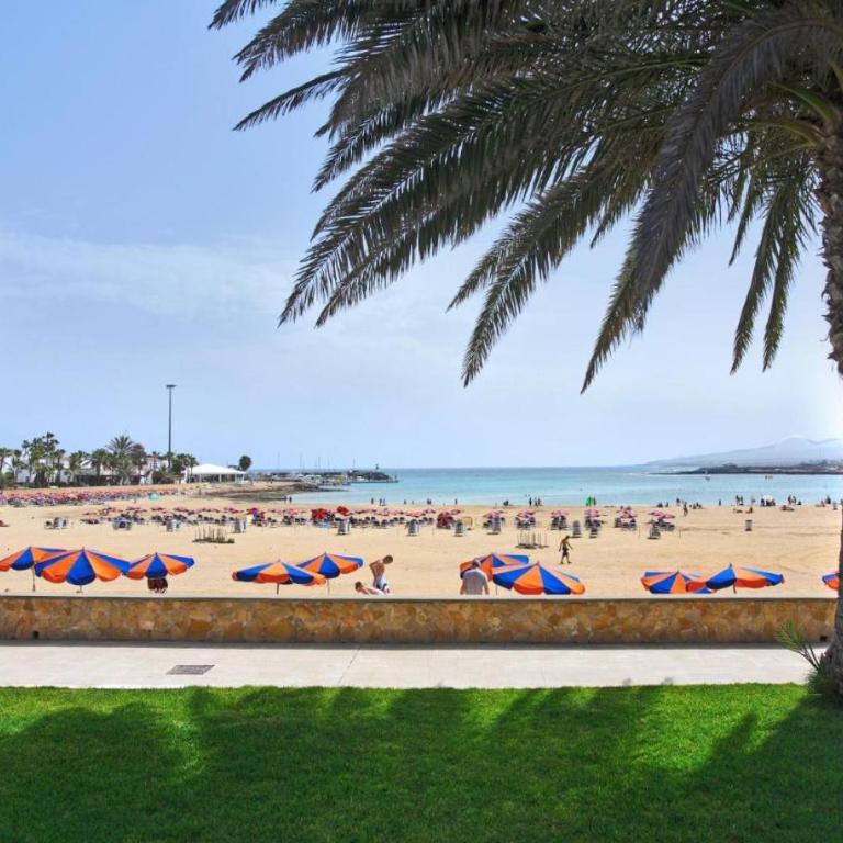 Canary Islands Escape - One-Bedroom Apartment - 10