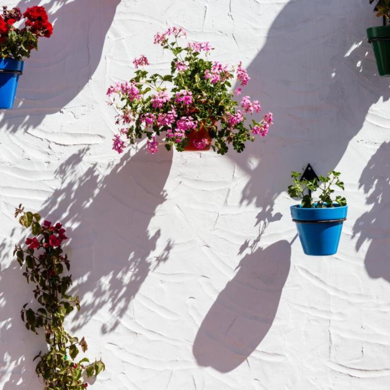Augusto Collection Boutique apartment Estepona old town - Apartamento de 2 dormitorios - 25