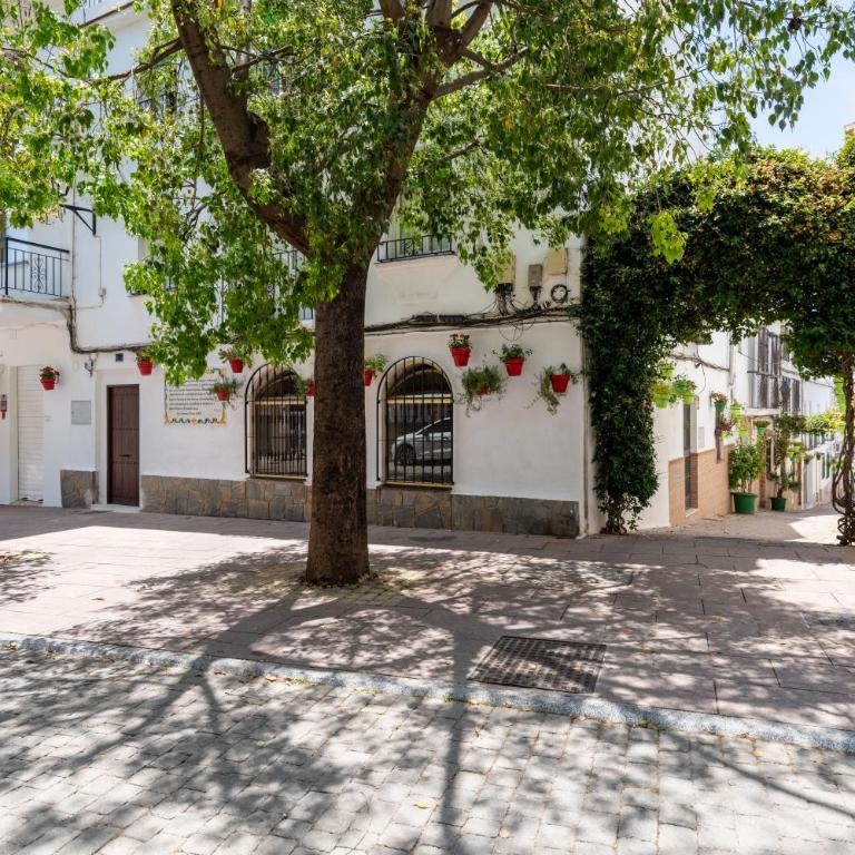 Augusto Collection Boutique apartment Estepona old town - Apartamento de 2 dormitorios - 3