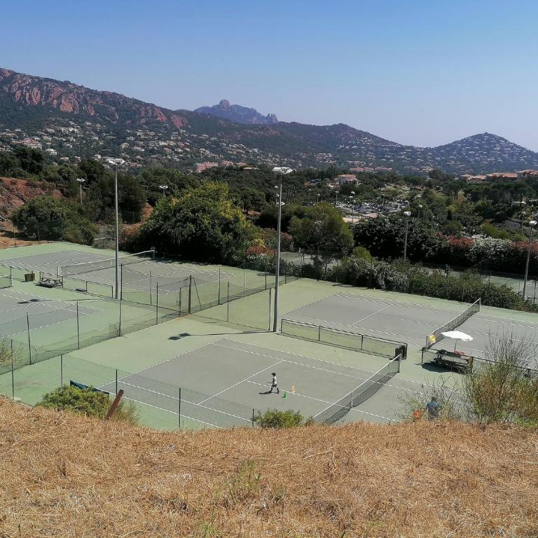Rez de jardin CAP ESTEREL rénové et climatisé - Appartement 2 Chambres - 17