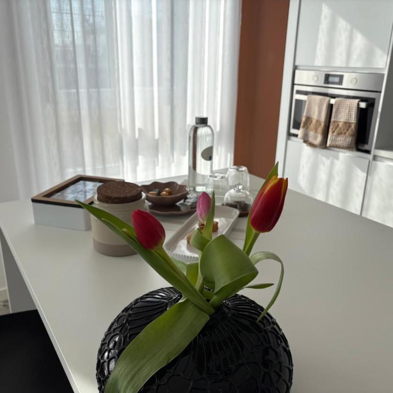 La terrazza sul Corso - Apartamento de 1 dormitorio - 10