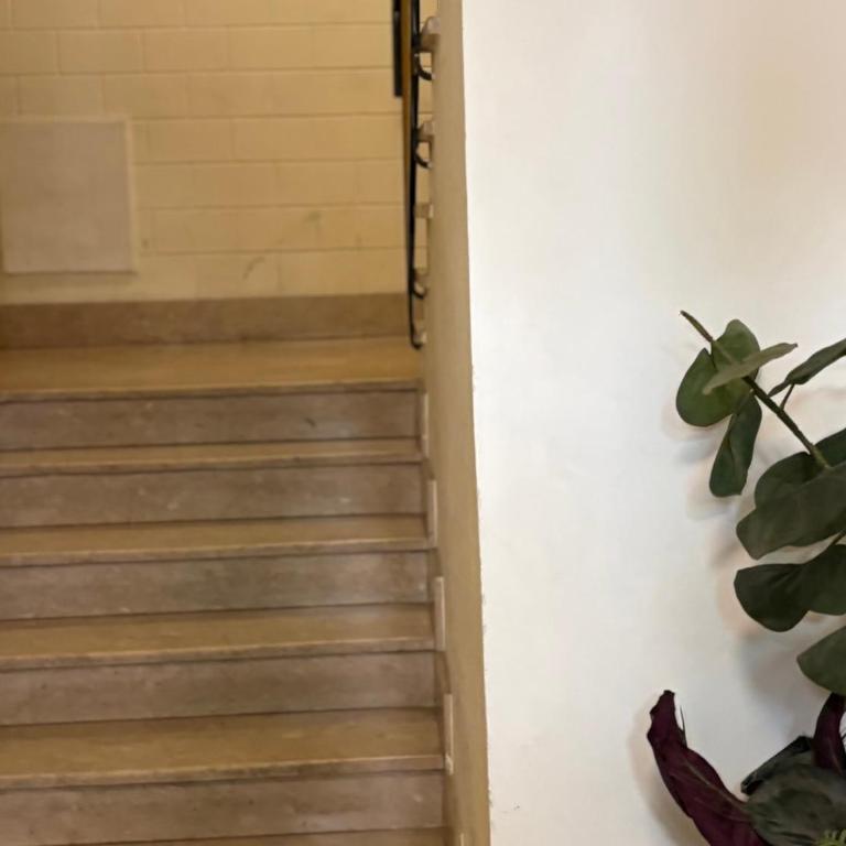 La terrazza sul Corso - Apartamento de 1 dormitorio - 37