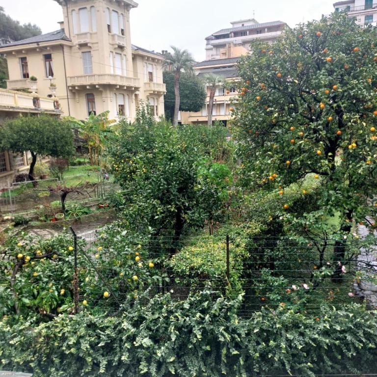 La Conchiglia - Apartamento de 1 dormitorio - 12