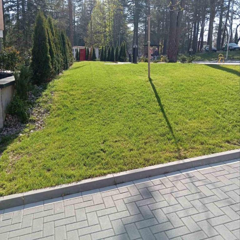 Zlatibor Palisad Hills Residence - One-Bedroom Apartment - 48