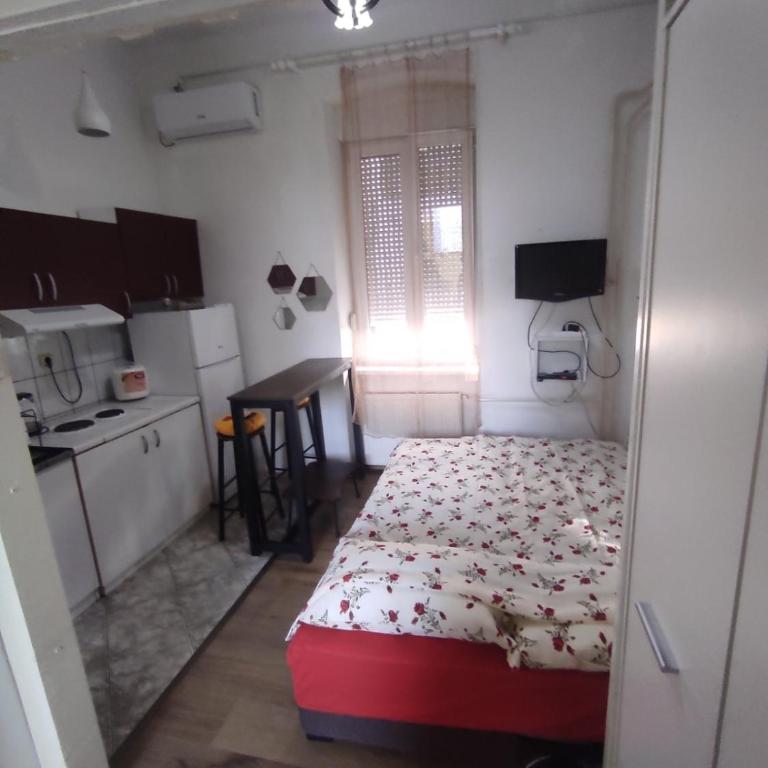 Centar apartman trivanović tipa studio 2 - One-Bedroom Apartment - 10