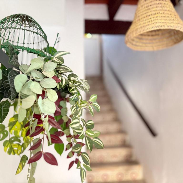 Apartamento Boutique Kala Ático - Apartamento de 1 dormitorio - 22