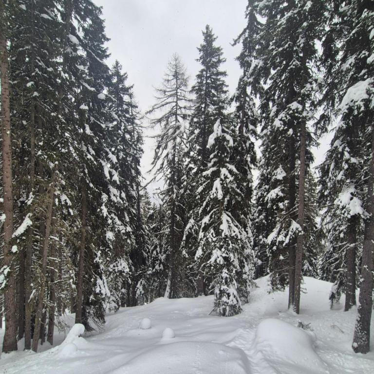 Winter Ski with stunning view - Apartment mit 1 Schlafzimmer, Balkon und Bergblick - 49