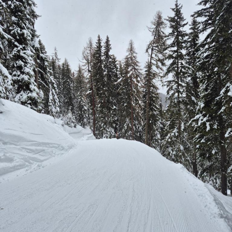 Winter Ski with stunning view - Apartment mit 1 Schlafzimmer, Balkon und Bergblick - 50