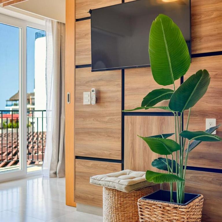 Cozy 1Br Apt - Pool - GYM - 2 Min to the Beach - Casa - 55