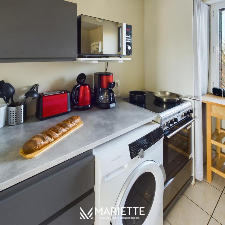 -LITTO- Concarneau avec terrasse proche commerces - Appartement - 14