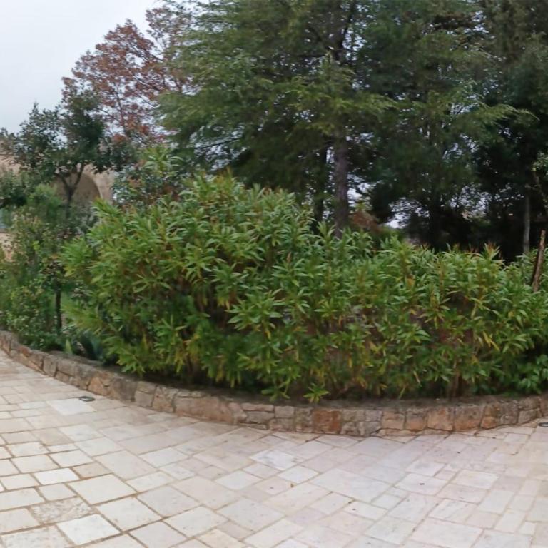 Guestrulli charme e tradizione nella Valle d'Itria - Two-Bedroom Deluxe Apartment - 43