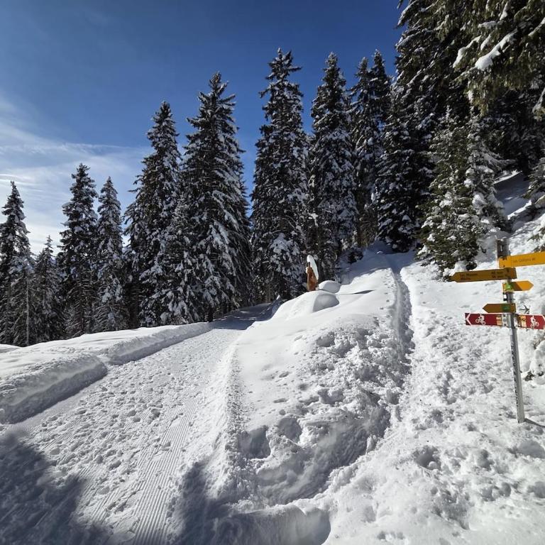 Chalet Ski in&out - Chalet - 5