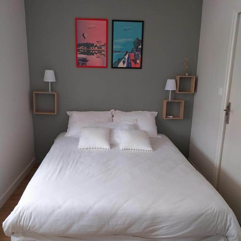 Les marronniers appartement centre Saumur bord de Loire - Appartement 1 Chambre - 22