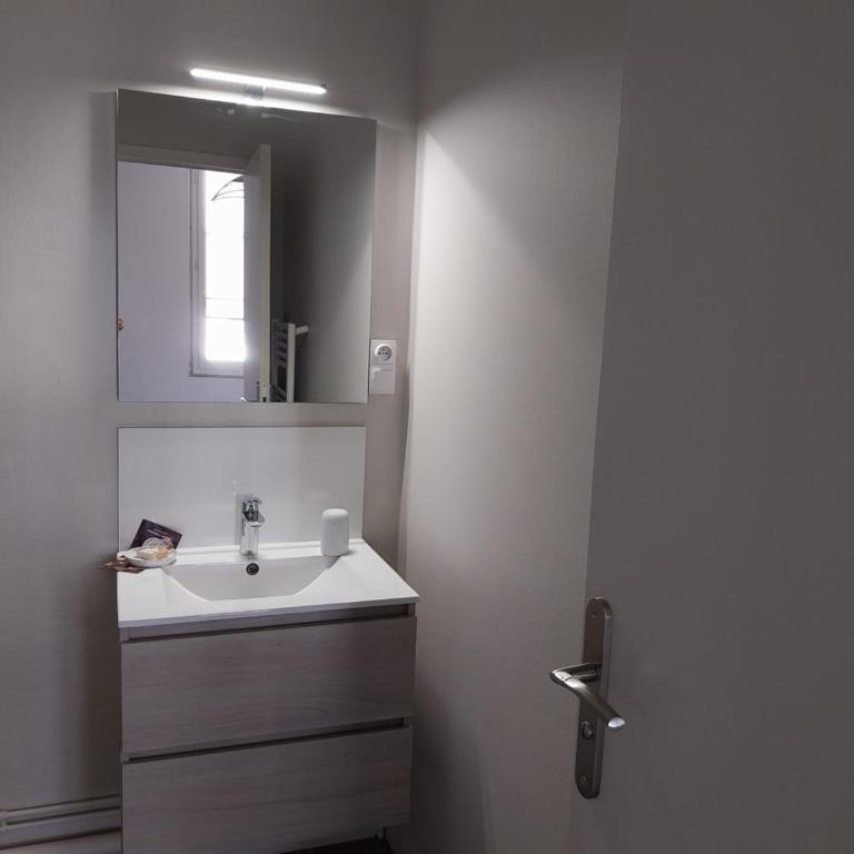 Les marronniers appartement centre Saumur bord de Loire - Appartement 1 Chambre - 25