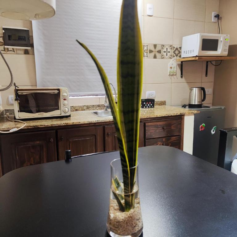 ZUHAUSE - Apartamento - 9