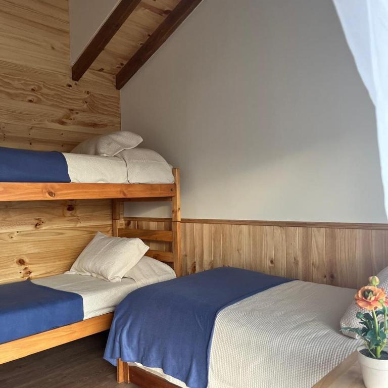 Cabaña Caburgua vista al Volcán, Senderos del Bosque - Two-Bedroom Chalet - 3