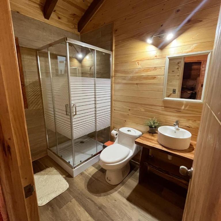 Cabaña Caburgua vista al Volcán, Senderos del Bosque - Two-Bedroom Chalet - 6