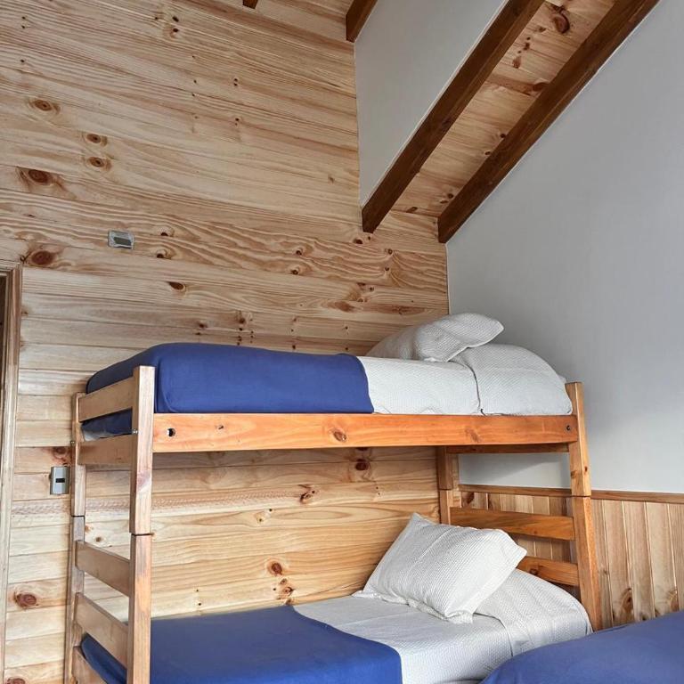 Cabaña Caburgua vista al Volcán, Senderos del Bosque - Two-Bedroom Chalet - 9