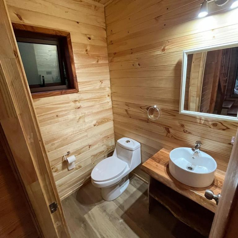 Cabaña Caburgua vista al Volcán, Senderos del Bosque - Two-Bedroom Chalet - 10