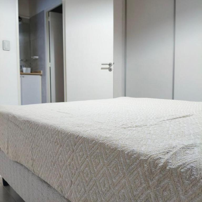 Apartment in an excellent location in Godoy Cruz - Apartamento de 1 dormitorio - 14