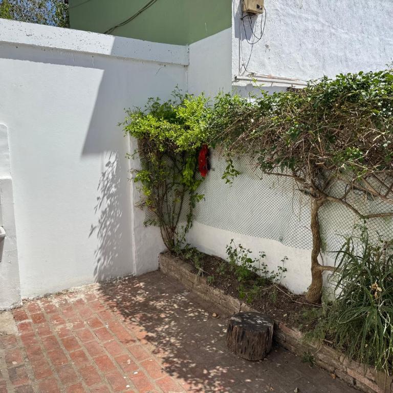 Costanera 61, frente a la laguna - Apartamento de 2 dormitorios - 25