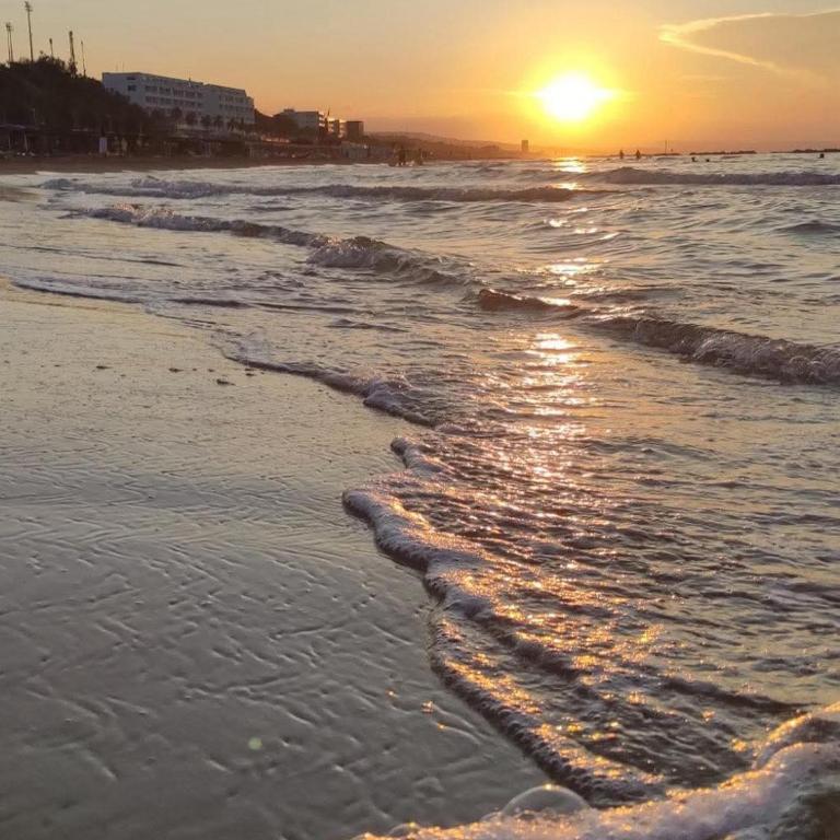 I love Termoli - Apartment - 19
